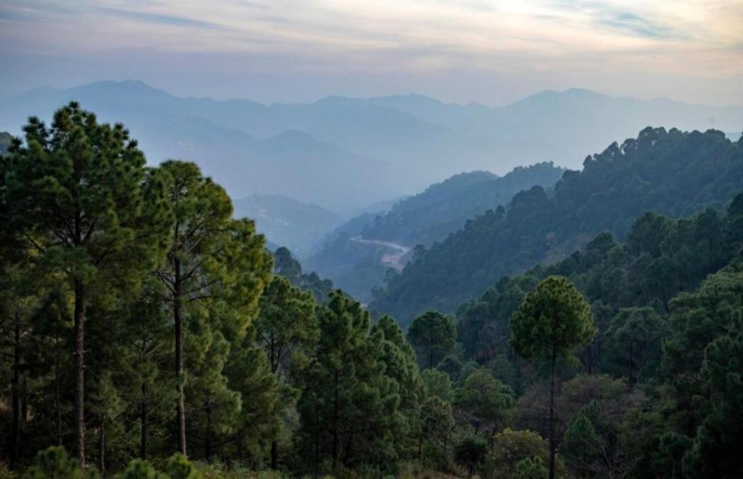 The Kasauli Western Uphills I Serviced Apartments I Pvt Balcony I Peacefull Area I By Exotic Stays エクステリア 写真