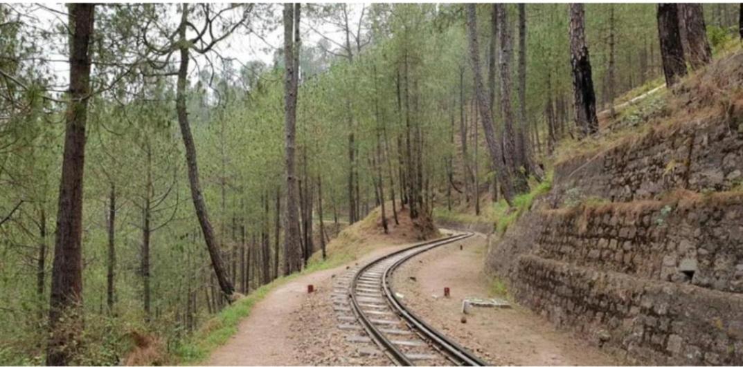 The Kasauli Western Uphills I Serviced Apartments I Pvt Balcony I Peacefull Area I By Exotic Stays エクステリア 写真